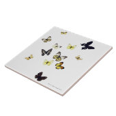 白で撃たれる蝶 タイル (側面)