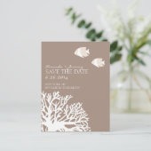 白とアイボリー熱帯魚の保存日 案内ポストカード (スタンド正面)