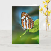 白とオレンジのストライプの蝶 カード (黄色い花)