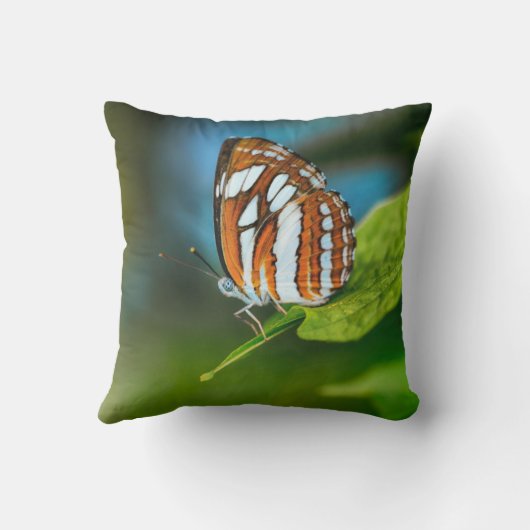 白とオレンジのストライプの蝶 クッション (裏面)