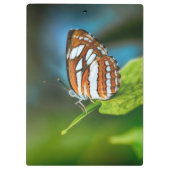 白とオレンジのストライプの蝶 クリップボード (裏面)