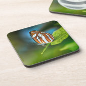 白とオレンジのストライプの蝶 コースター (左側)