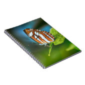 白とオレンジのストライプの蝶 ノートブック (右側)