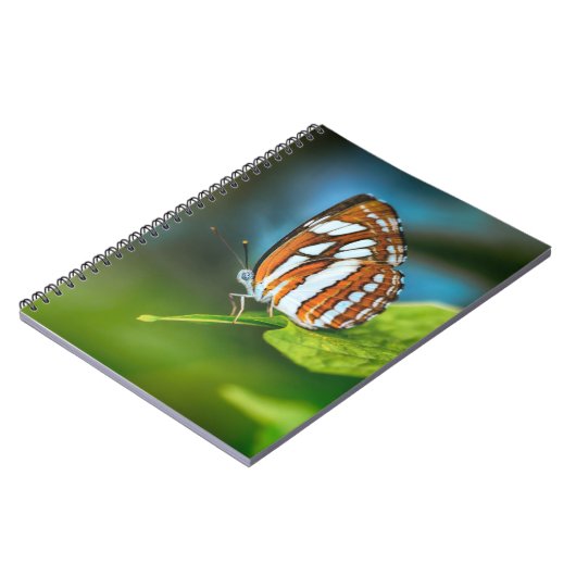 白とオレンジのストライプの蝶 ノートブック (左側)