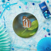 白とオレンジのストライプの蝶 ペーパープレート (パーティー)