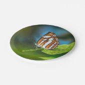 白とオレンジのストライプの蝶 ペーパープレート (アングル)