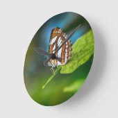 白とオレンジのストライプの蝶 ラウンド壁時計 (傾斜)