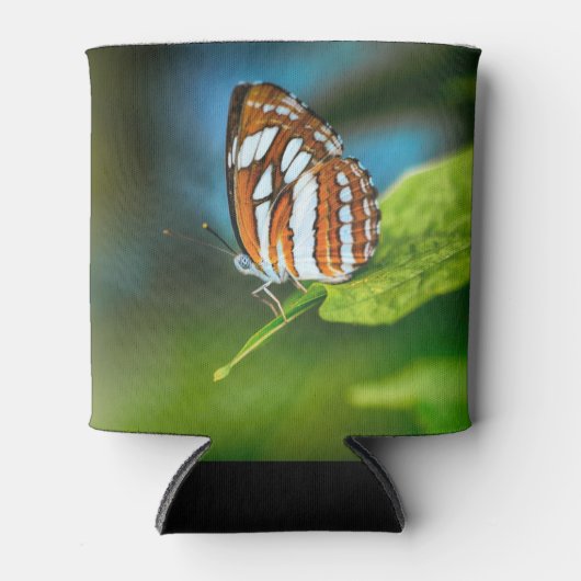 白とオレンジのストライプの蝶 缶クーラー (正面)