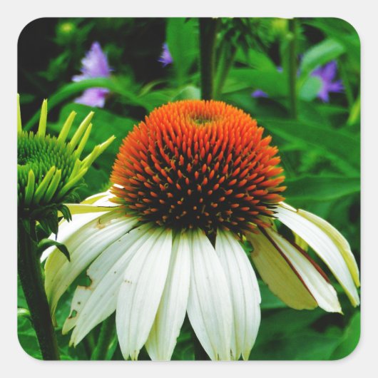 白とオレンジの円錐花 スクエアシール (正面)