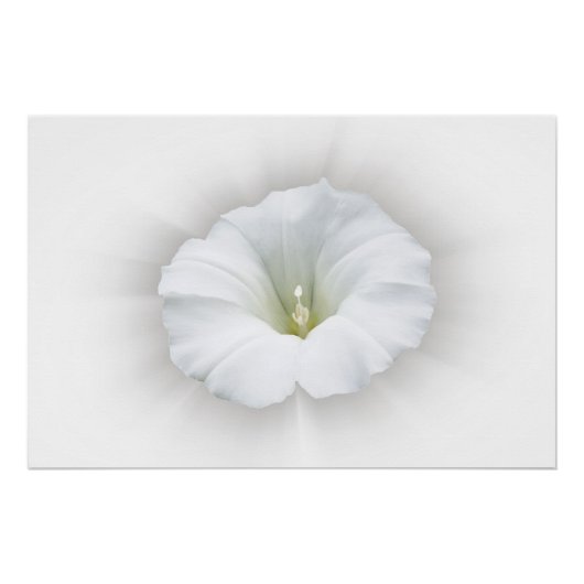 白とグレーの様々な色合い ポスター (正面)