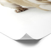 白とタンブルドッグ ポスター (角)