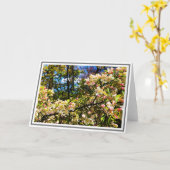 白とピンクのクラバップルの木の花 カード (黄色い花)