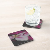 白とピンクのクレマチスの花 コースター (右側)