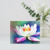 白とピンクのスイレン ポストカード (スタンド正面)