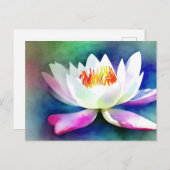 白とピンクのスイレン ポストカード (正面/裏面)