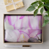 白とピンクのダリアとのまわりにティッシュペーパー 薄葉紙 (ギフト)