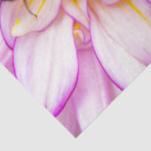 白とピンクのダリアとのまわりにティッシュペーパー 薄葉紙 (詳細)