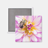 白とピンクのダリアとのまわりに マグネット (正面/裏面)