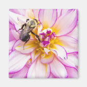 白とピンクのダリアとのまわりに マグネット (正面)