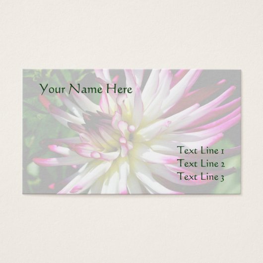 白とピンクのダリア花ビジネスカード (正面)