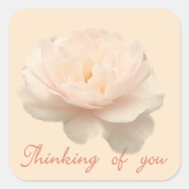 白とピンクのバラ スクエアシール