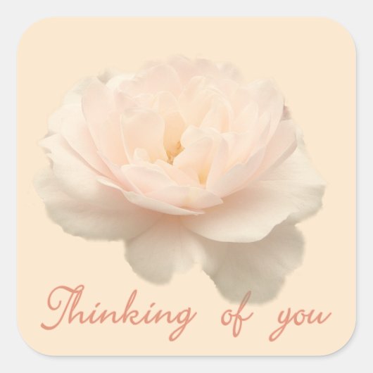 白とピンクのバラ スクエアシール (正面)