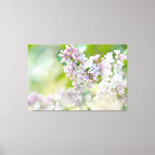 白とピンクのミスティ・ライラック キャンバスプリント