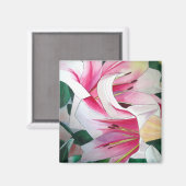 白とピンクのユリの水彩画マグネット マグネット (正面/裏面)
