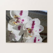 白とピンクの斑点のある蘭の写真 ジグソーパズル (横)