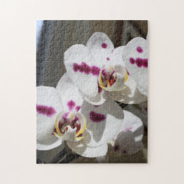 白とピンクの斑点のある蘭の写真 ジグソーパズル