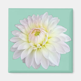 白とピンクの花 マグネット
