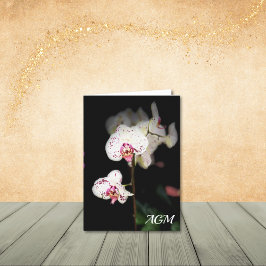 白とピンクの蘭のノートカード サンキューカード