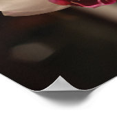 白とピンクの蘭の花の写真 ポスター (角)