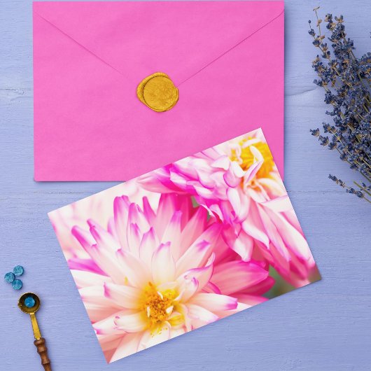 白とピンクの2つのダリアの注空白の記