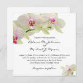 白とピンク色の美しいラン 招待状 (正面/裏面)