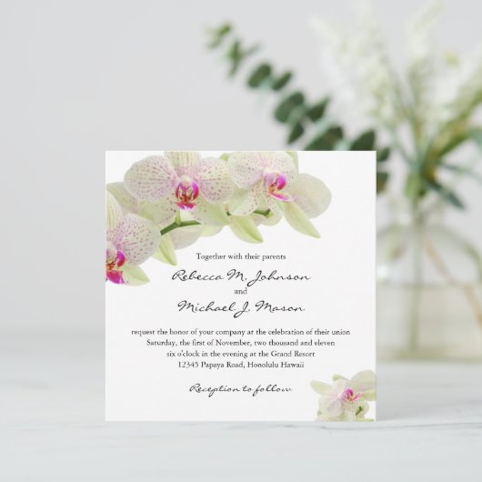 白とピンク色の美しいラン 招待状 (スタンド正面)
