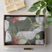 白とブルゴーニュの蘭の切り離し 薄葉紙 (ギフト)