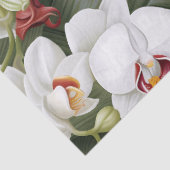 白とブルゴーニュの蘭の切り離し 薄葉紙 (詳細)