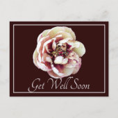 白と深紅の芍薬のワインバックの回復おめでとう ポストカード (正面)