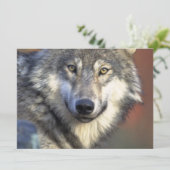 白と灰色の狼 招待状 (スタンド正面)