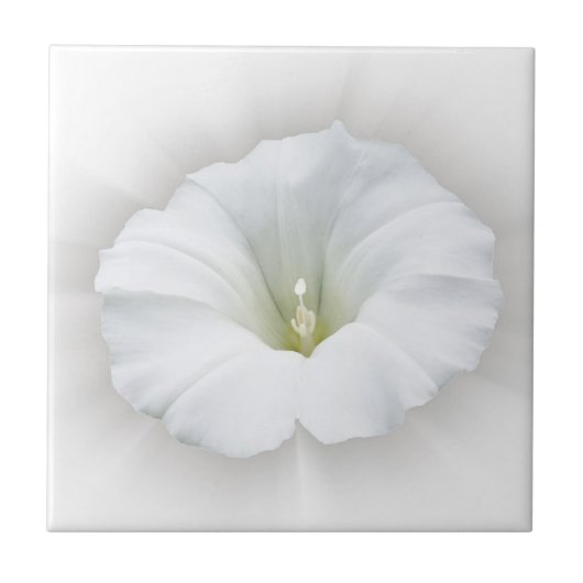 白と灰色 タイル (正面)