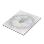 白と灰色 タイル (側面)