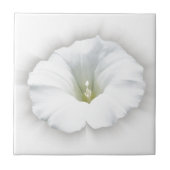 白と灰色 タイル (正面)