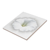 白と灰色 タイル (側面)