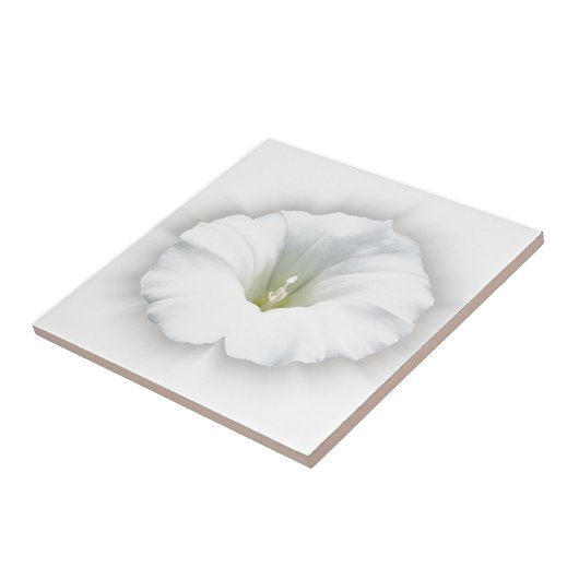 白と灰色 タイル (側面)