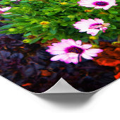 白と紫のアフリカデイジー#1ポスター ポスター (角)