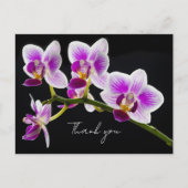 白と紫のオーキッドの感謝の気持ちを表すポストカード ポストカード (正面)
