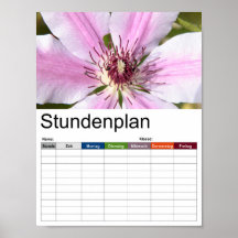 白と紫のクレマチスのマクロ