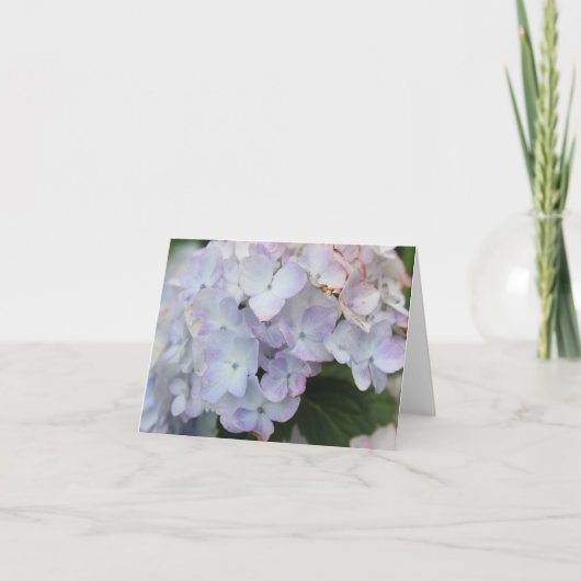 白と紫のハイドランジアの花が咲くホリデーカード シーズンカード (正面)