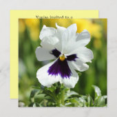 白と紫のパンジーブライダルシャワーの招待 招待状 (正面/裏面)